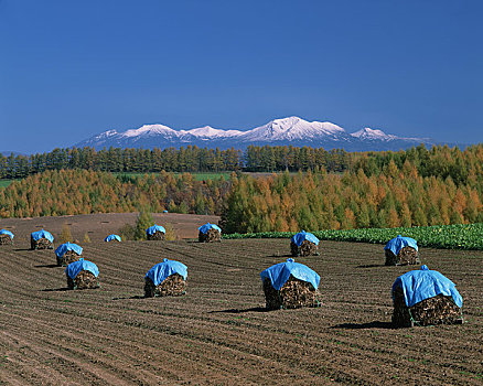 秋天,山