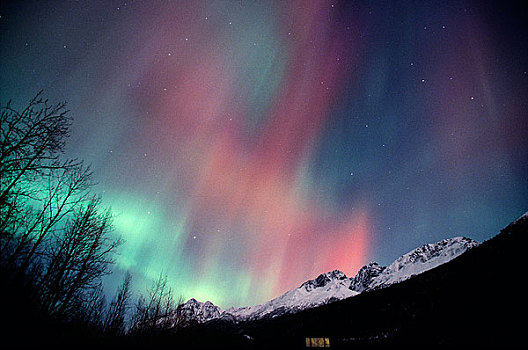多彩,北极光,填加,夜空,老,公路,靠近,阿拉斯加,冬天