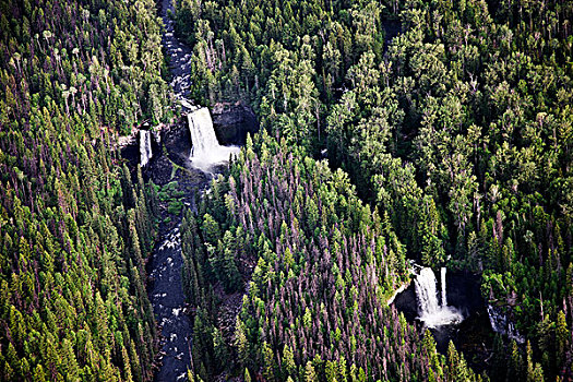 瀑布,灰色,省立公园,不列颠哥伦比亚省,加拿大
