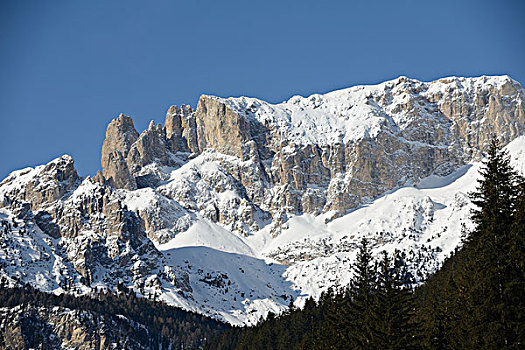 自然,冬季风景,树,初雪