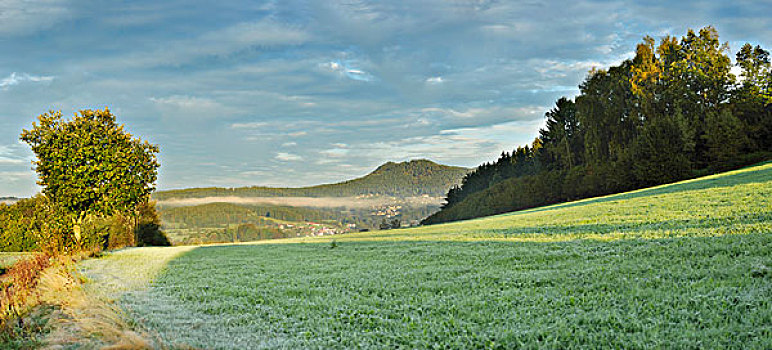 全景,风景,巴伐利亚森林,早晨,巴伐利亚森林国家公园,巴伐利亚,德国
