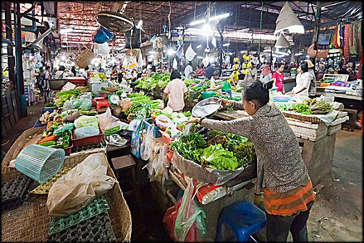 大棚市场,收获,柬埔寨
