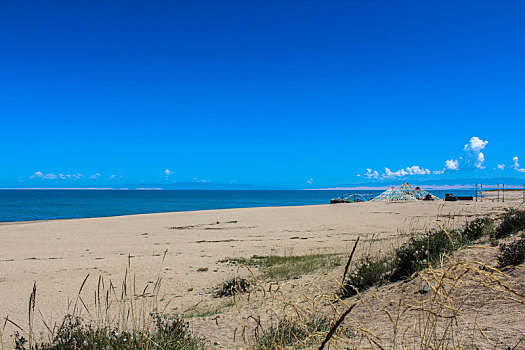 青海湖