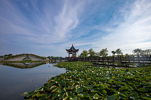 东海县西双湖湿地公园