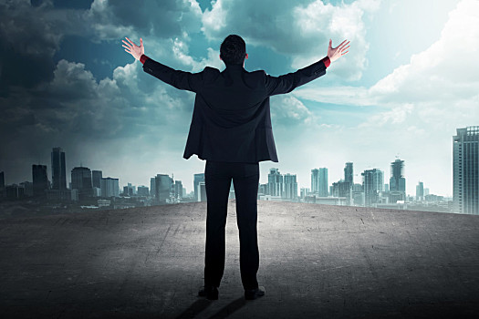 成功,商务,男人,屋顶,背面视角,看,天空