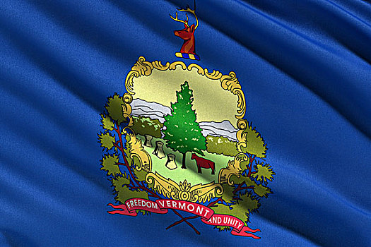 旗帜,佛蒙特州