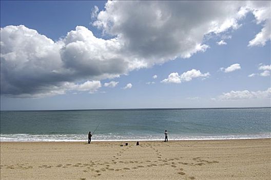 海滩,沙,南德文郡,英格兰