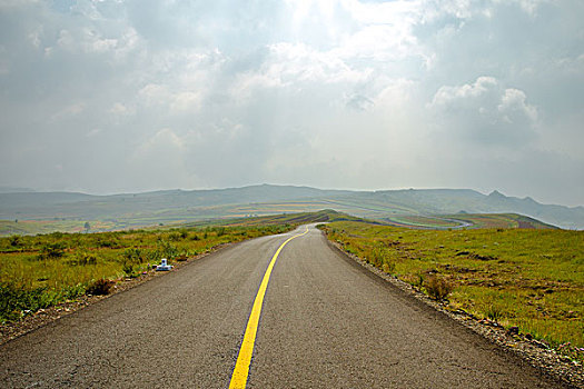 草原的道路