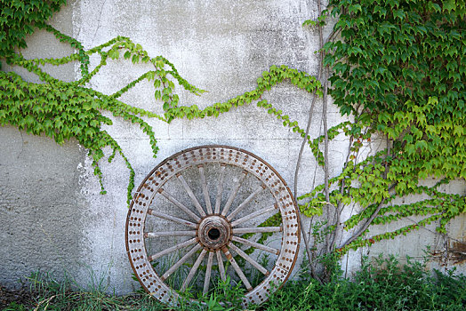 木质,轮子,背景,砖墙