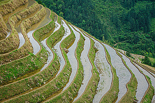 桂林梯田风光