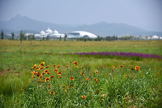 内蒙古呼和浩特市,敕勒川国家草原自然公园风光