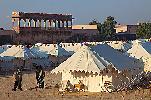 印度,拉贾斯坦邦,皇家,露营,游客,住宿,帐篷