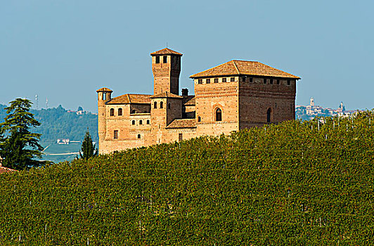 城堡,库内奥省,意大利,欧洲