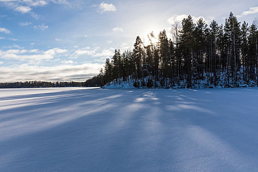芬兰,区域,覆雪,太阳,荫凉