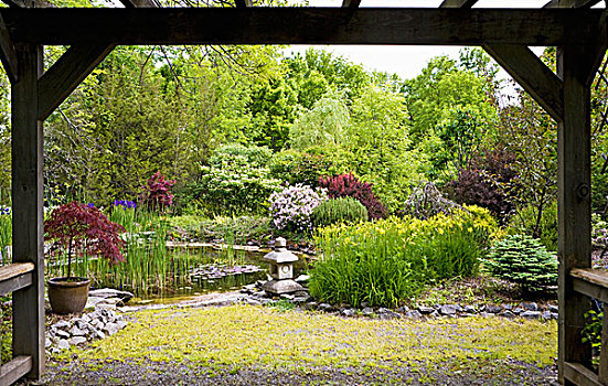 水塘,花园,春天,石灯笼,植物,开花