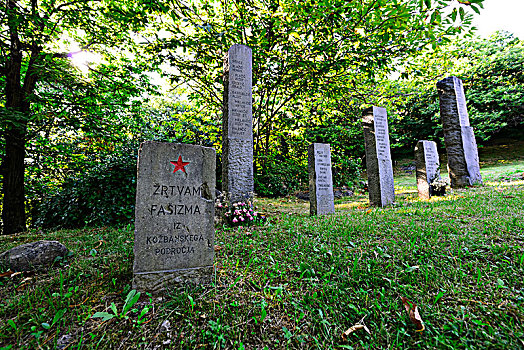 墓地,靠近,斯洛文尼亚,欧洲