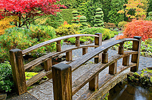 小桥,上方,河流,秋色,日式庭园,宝翠花园,温哥华岛,不列颠哥伦比亚省,加拿大
