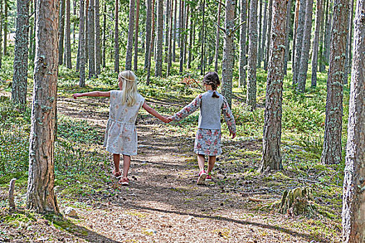 后视图,两个女孩,穿,复古,衣服,握手,走,树林