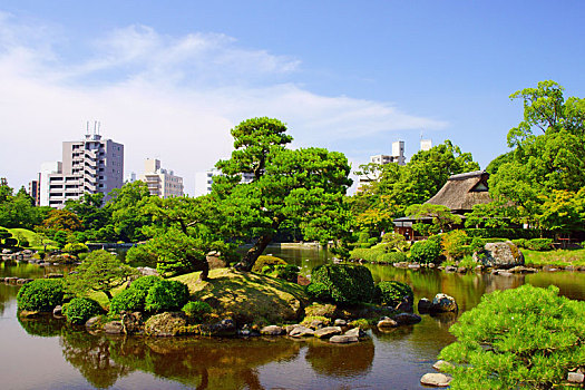 传统,日本,老,房子