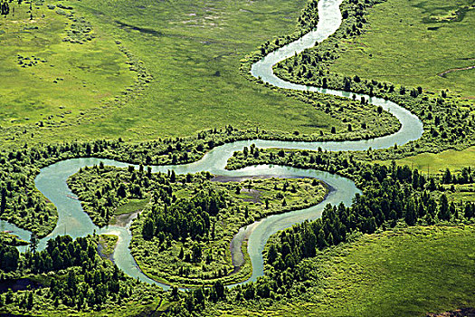 河,湿地,不列颠哥伦比亚省,加拿大