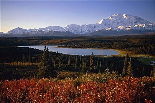 麦金立山,湖,德纳里峰国家公园,室内,阿拉斯加,秋天,早晨