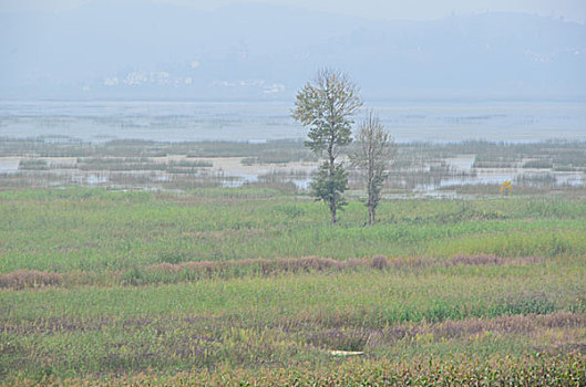 草海,风光