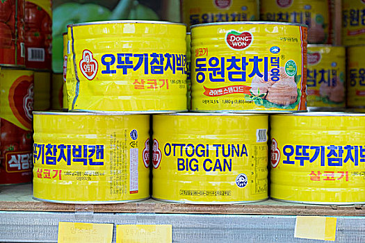 亚洲,韩国,仁川机场,附近,罐,鱼肉,出售,街上,使用,只有