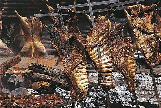 烧烤,绵羊,肉,火,巴塔哥尼亚,阿根廷,南美