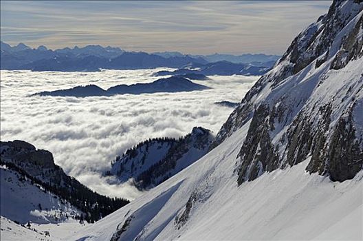 山,皮拉图斯,上方,中心,阿尔卑斯山,海洋,雾,瑞士,欧洲
