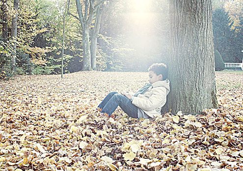 男孩,坐,树下,秋叶,头像