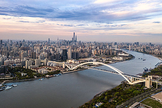 上海,大桥,风光