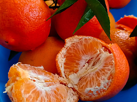 橘子,芦柑,砂糖橘