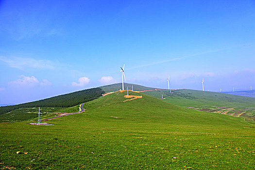 柏油路穿过草原