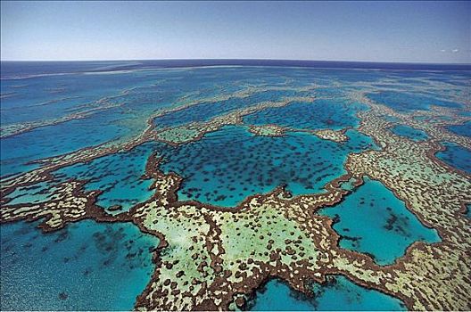 海洋,太平洋,岛屿,环礁,澳大利亚,青绿色