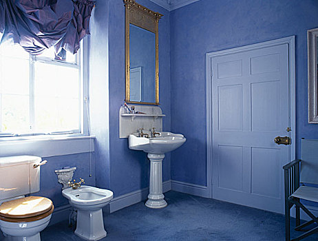 传统,蓝色,浴室,卫生间,坐便器,基座,水槽,晴朗,窗户,奥地利,百叶窗