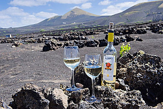 瓶子,白色,葡萄酒,玻璃,葡萄,藤,火山岩,火山,风景,兰索罗特岛,加纳利群岛,西班牙,欧洲