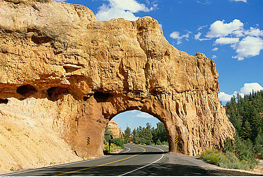 道路,岩石构造,红岩峡谷,犹他,美国