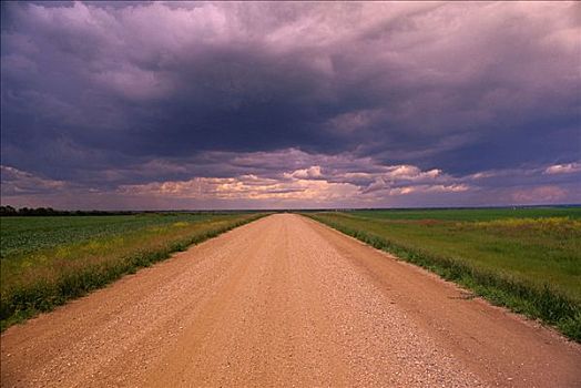 乡村道路,西部,萨斯喀彻温,加拿大