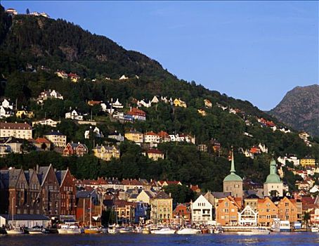 挪威,卑尔根,全景,城镇,港口,房子,山,背景