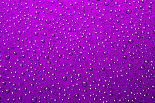 水滴,紫色背景