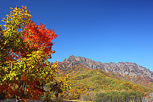 山,秋天