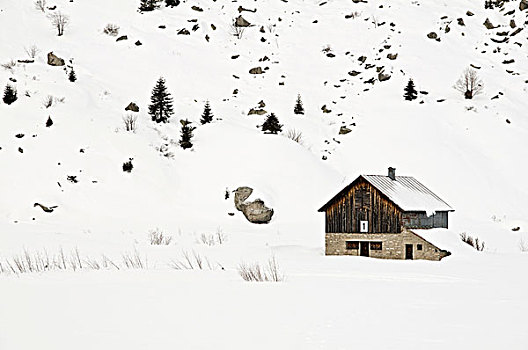 牛棚,雪,安德马特,瑞士,欧洲