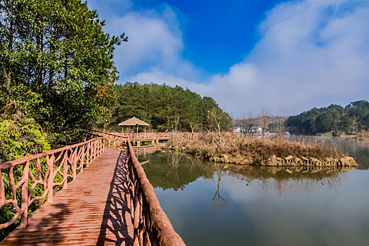 福建省长汀县汀江国家湿地公园自然环境