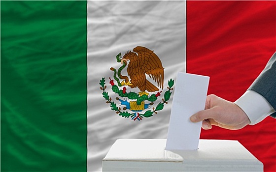 男人,投票,选举,墨西哥,正面,旗帜