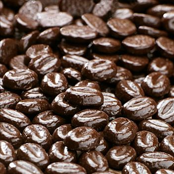 摩卡咖啡,豆