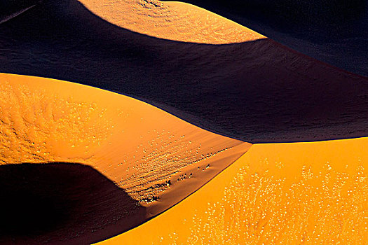 非洲,纳米比亚,纳米比诺克陆夫国家公园,抽象,航拍照片,沙丘,画廊
