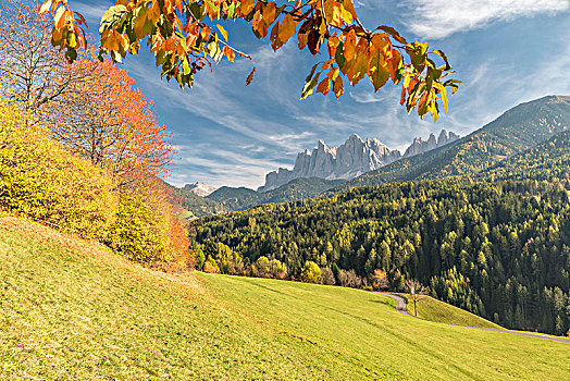 山谷,白云岩,省,博尔查诺,南蒂罗尔,意大利,秋色,顶峰,背景