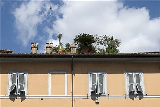 屋顶花园,房子,市中心,罗马,意大利
