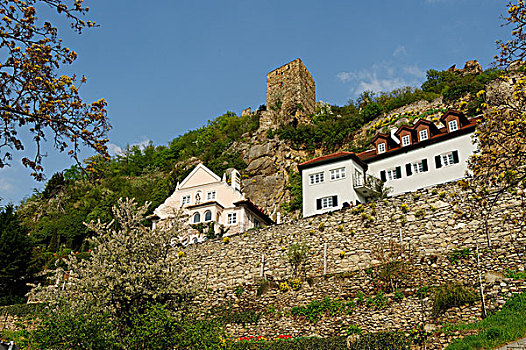 杜恩斯坦,城堡,遗址,瓦绍,下奥地利州,欧洲