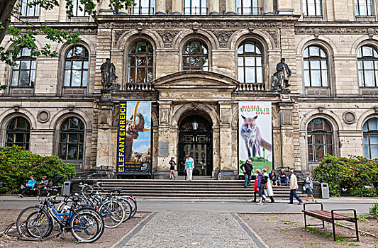 自然历史博物馆,柏林,德国,欧洲
